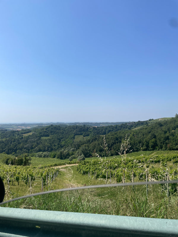 Valenza Italy countryside magical ethereal Italian
